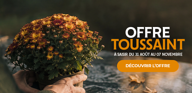 Offre Toussaint